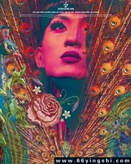 ��ȸ�ʺ�ķ���ͼ