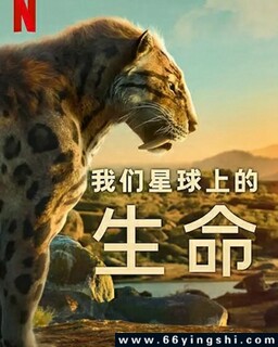 ���������ϵ������ķ���ͼ