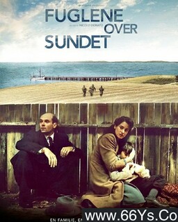 �����е�����ķ���ͼ