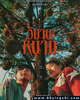 �������õķ���ͼ