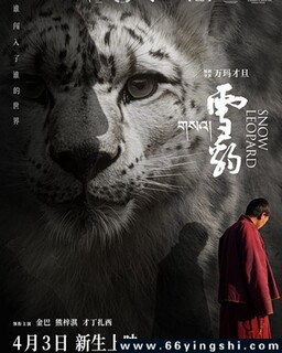 ѩ��2024�ķ���ͼ