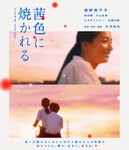 ��ɫ���յķ���ͼ