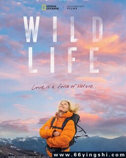 ��Ұ�����ķ���ͼ