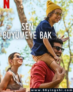 �ɿ�����2�ķ���ͼ