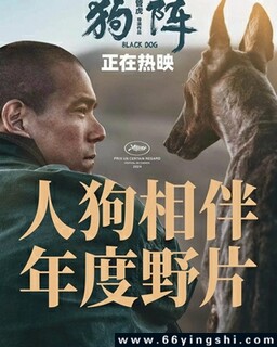 ����ķ���ͼ