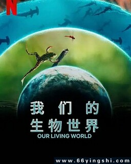 ���ǵ���������ķ���ͼ