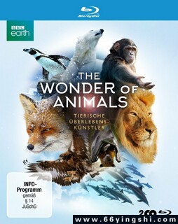 ���涯�����صķ���ͼ