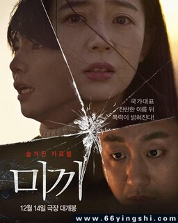 �ն�2023�ķ���ͼ