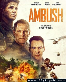 ����2023�ķ���ͼ