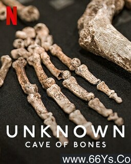 ����δ֪���������Ƕ�Ѩ�ķ���ͼ