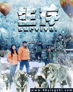 ����2024�ķ���ͼ