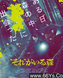 ���Ǹ������ڵ�ɭ�ֵķ���ͼ