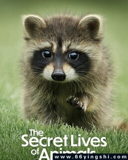 �������������ķ���ͼ