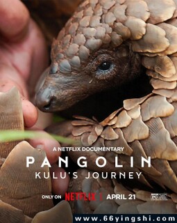 ��ɽ��Kulu���ó̵ķ���ͼ