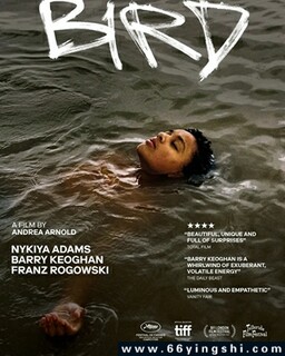 ��2024�ķ���ͼ